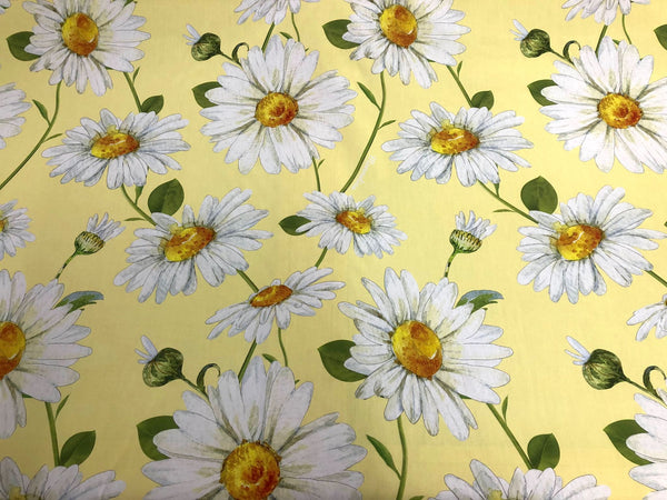 Summer Daisies Print On Cotton Poplin, Pale Yellow