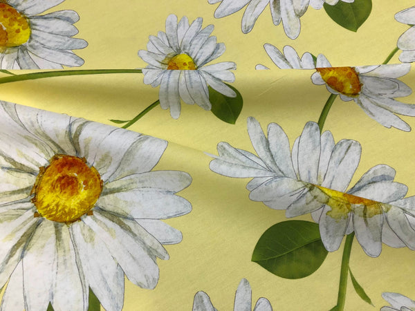 Summer Daisies Print On Cotton Poplin, Pale Yellow